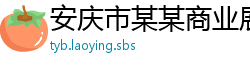安庆市某某商业展览教育中心